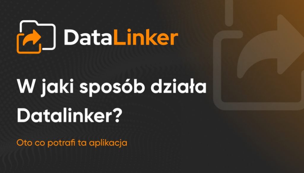DataLinker - post WWW 09.06.25