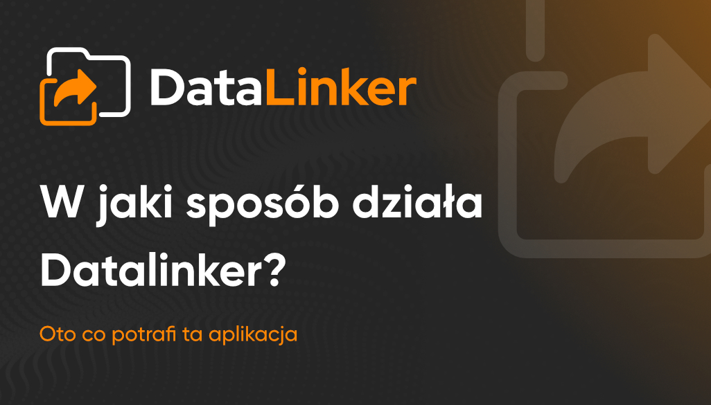 DataLinker - post WWW 09.06.25