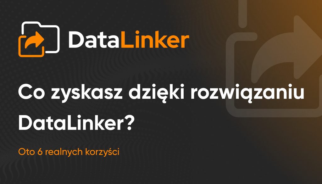 DataLinker - post WWW 12.06.25